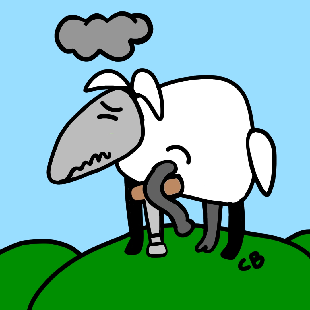 What to do if I’ve got lame sheep